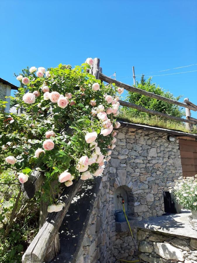 Affittacamere La Lea Roccaforte Mondovì Kültér fotó